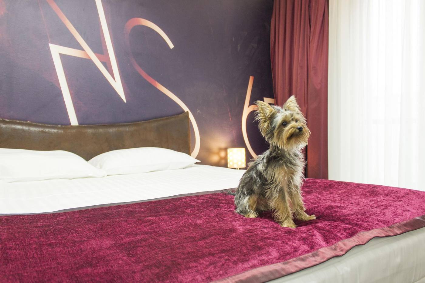 Hollywoodland Wellness & Spa Hotel-Serbia-BELGRADE-Room-10