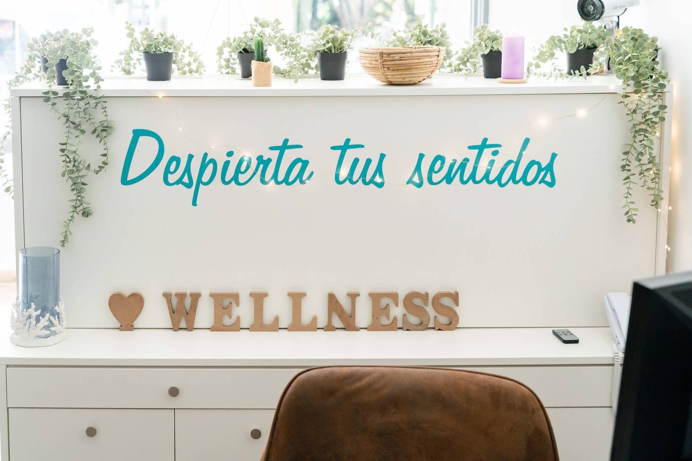 Planas-Sports-and-Entertainment-61