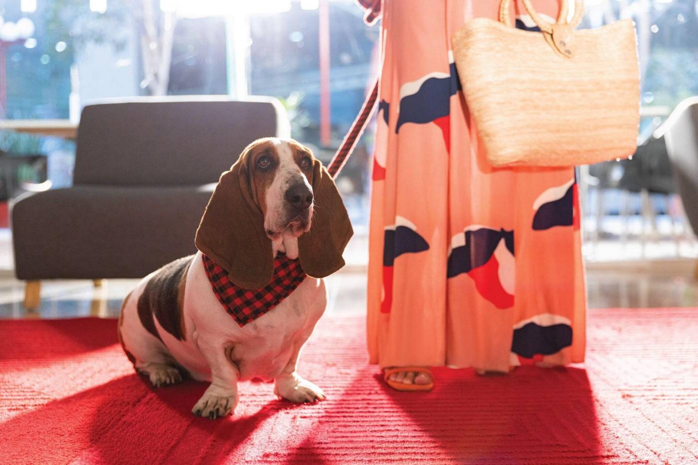 Fiesta Inn Aeropuerto Ciudad de Mexico-Mexico-MEXICO D.F.-General view-3