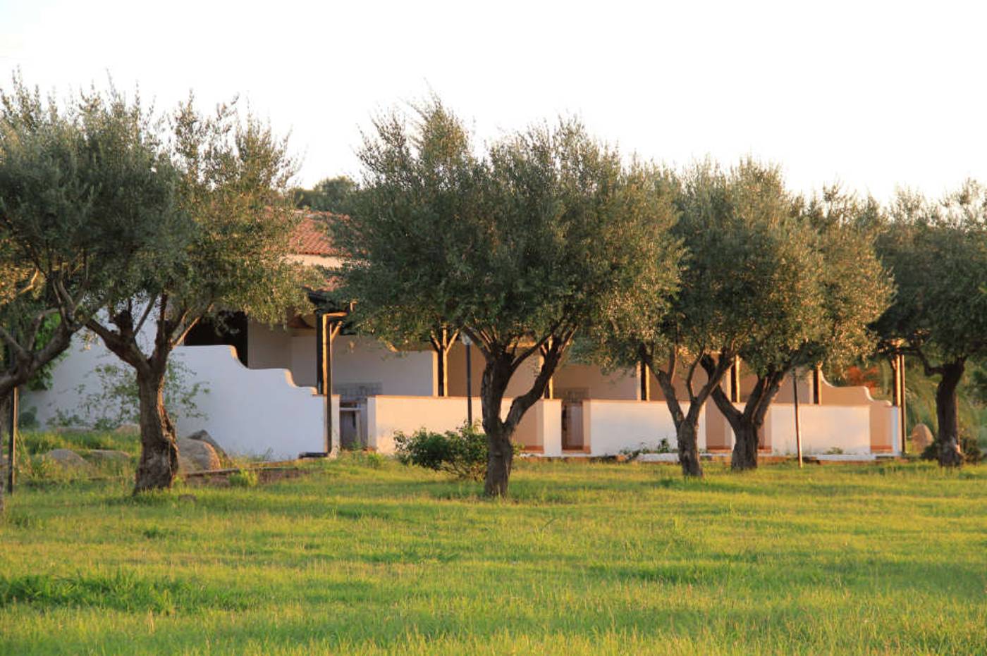 Villaggio Club Dolomiti sul Mare-Italy-BRIATICO -Room-9