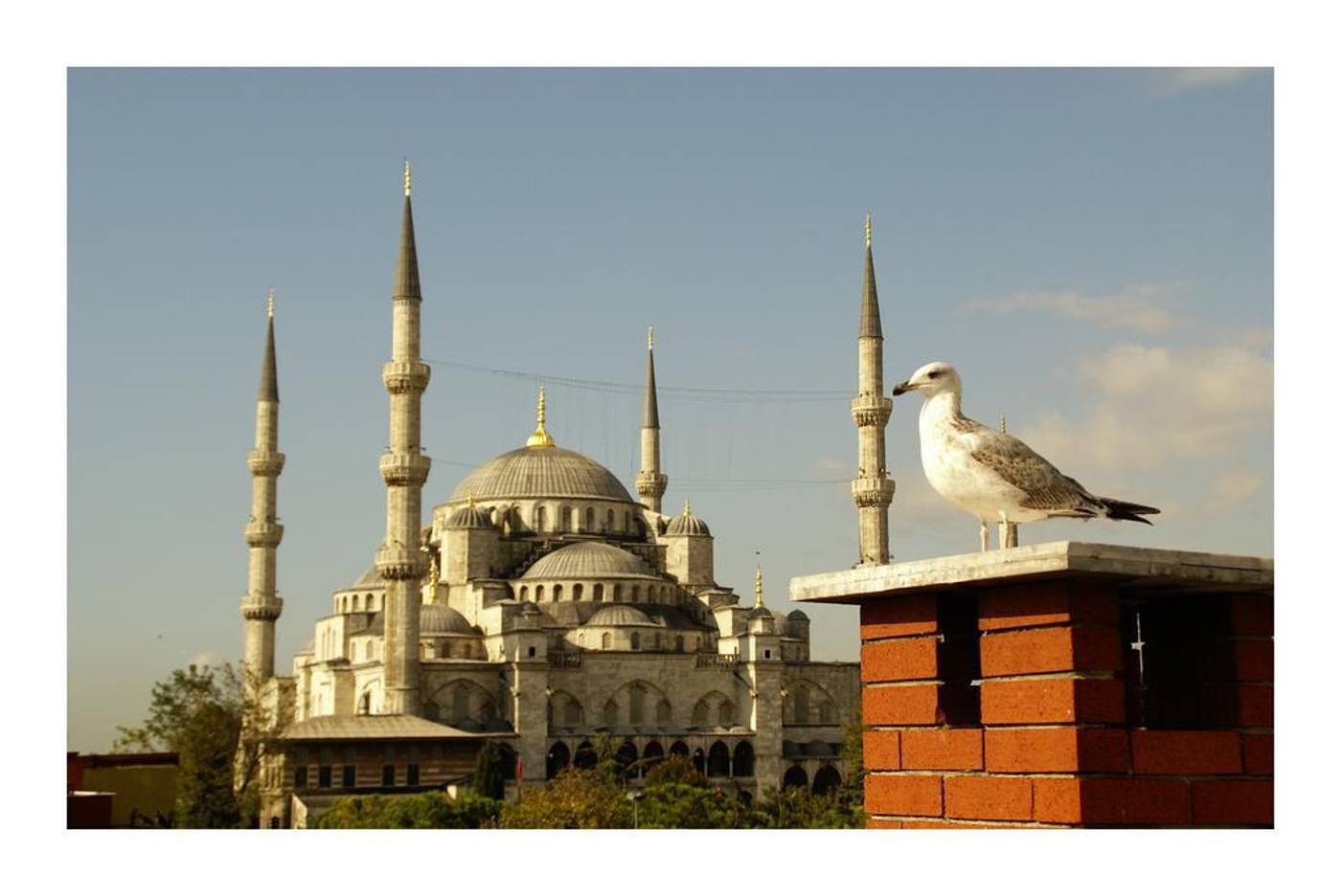 Uyan-Hotel-General-view-8