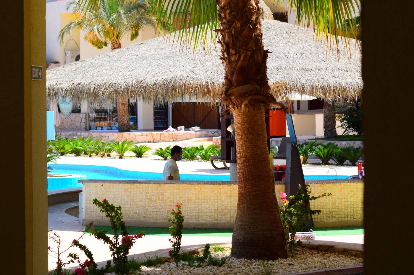 Hilton-Sharks-Bay-Resort-Bar-21