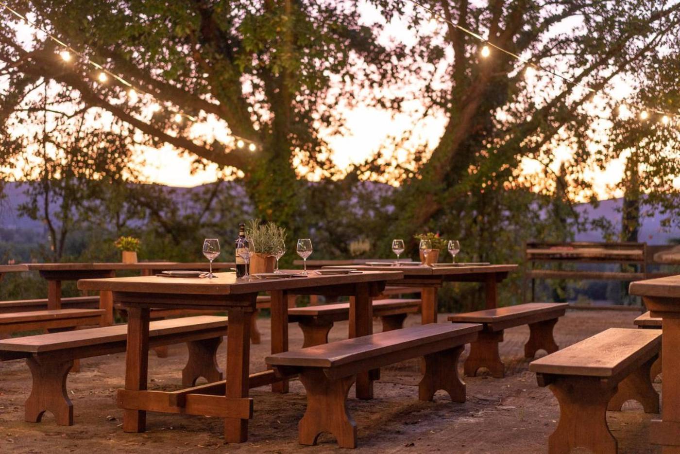 I-Palazzi-San-Lorenzo-a-Linari-Terrace-17