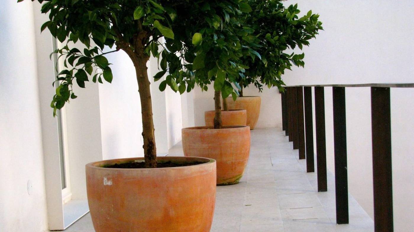 The-Late-Birds-Lisbon---Gay-Urban-Resort-General-view-14