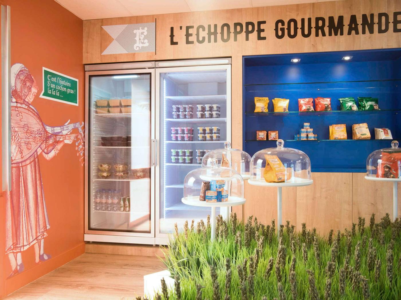 Ibis Styles Carcassonne La Cité-France-Carcassonne-General view-9