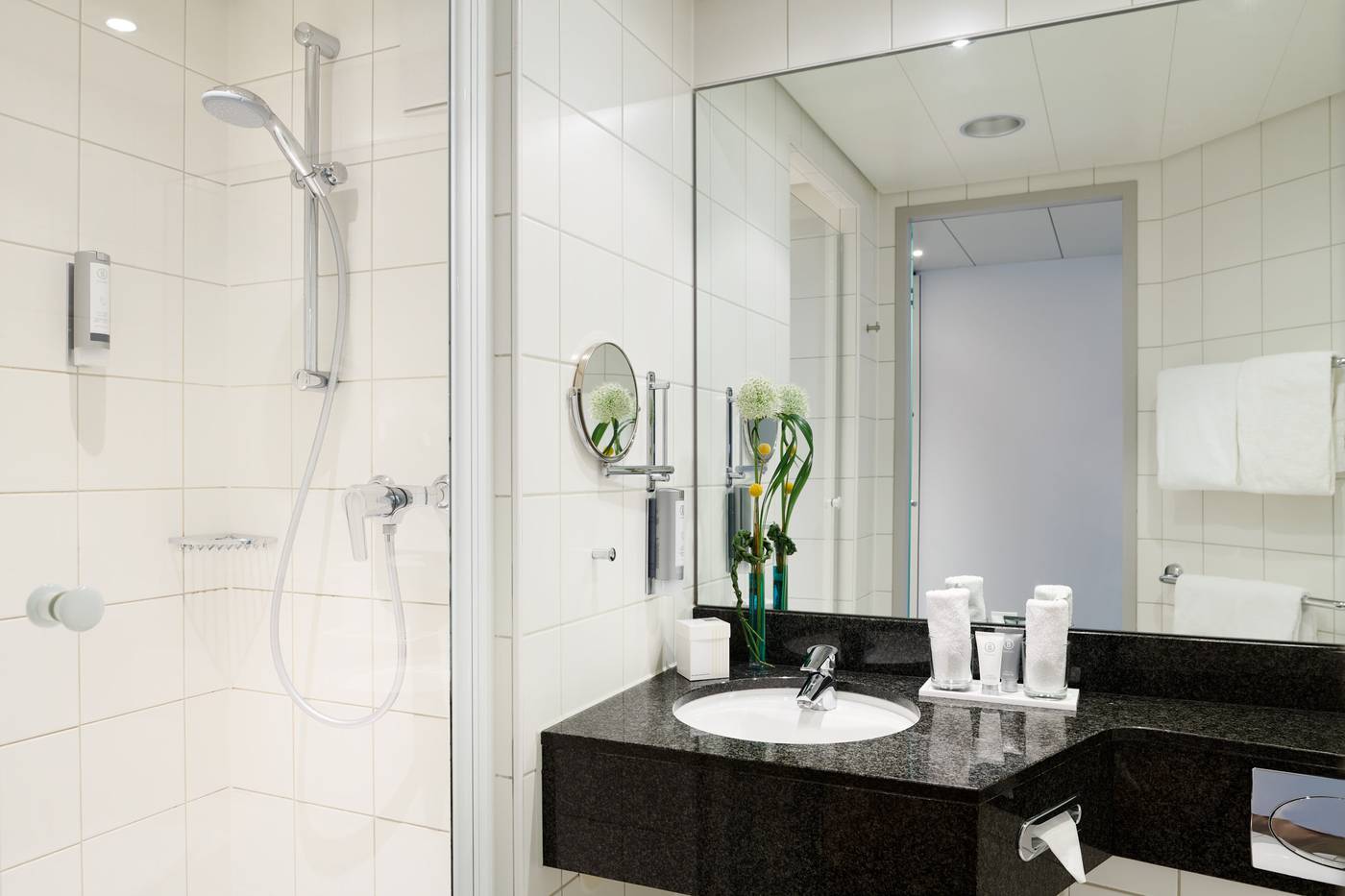 Essential by Dorint Basel City-Switzerland-BASEL-Room-5