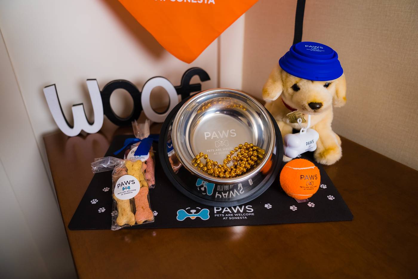 Sonesta-Simply-Suites-Boston-Burlington-Room-21