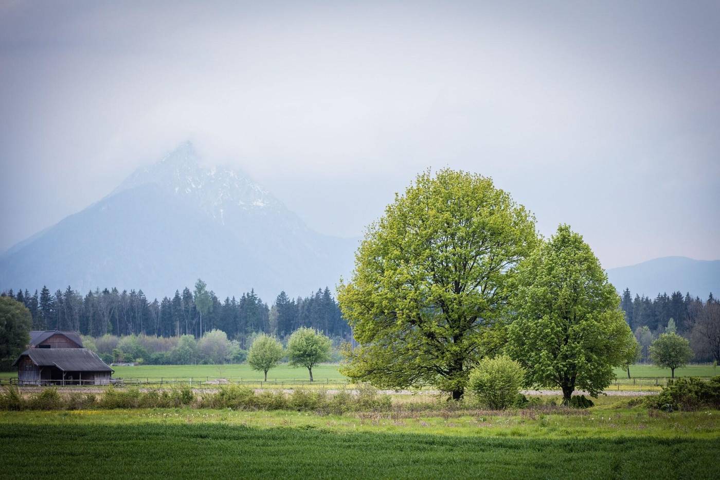 Hotel Gerl-Austria-WALS-SIEZENHEIM-General view-4