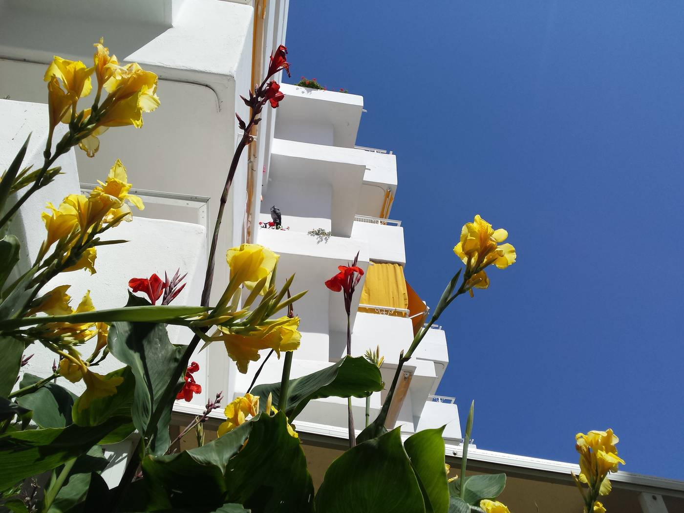 Hamilton-Court-General-view-13