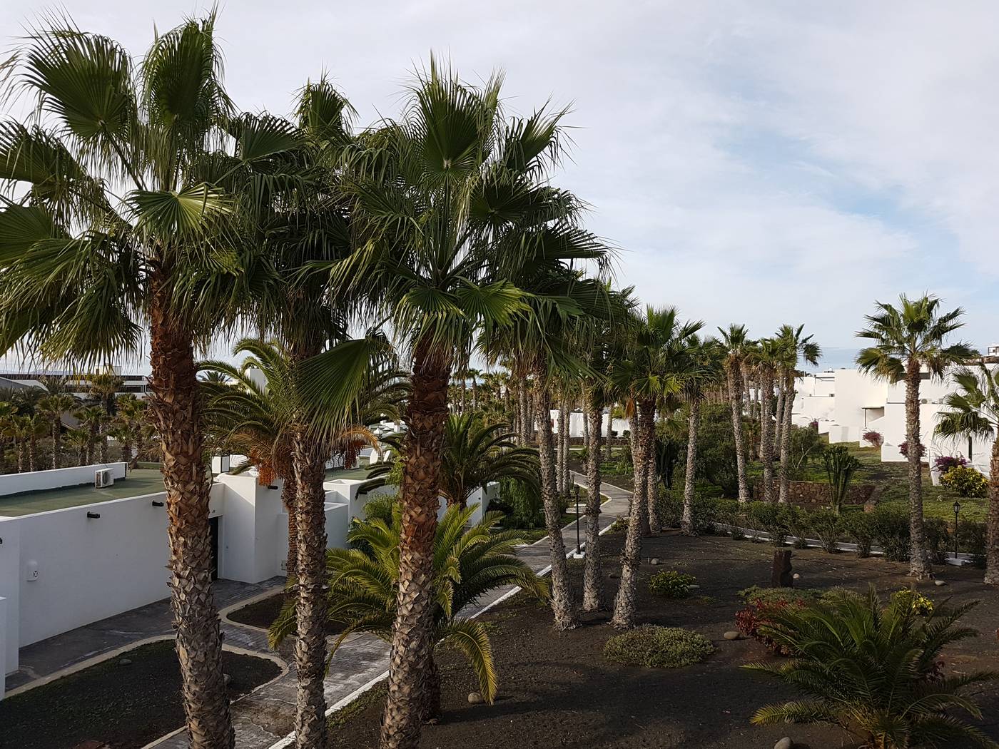 Palmeras-Garden-General-view-7