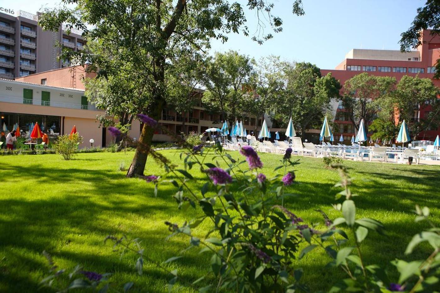 Yunona-General-view-7