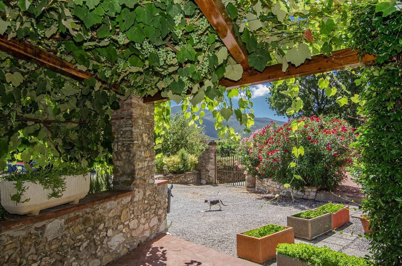 Villa-Cheli-General-view-41