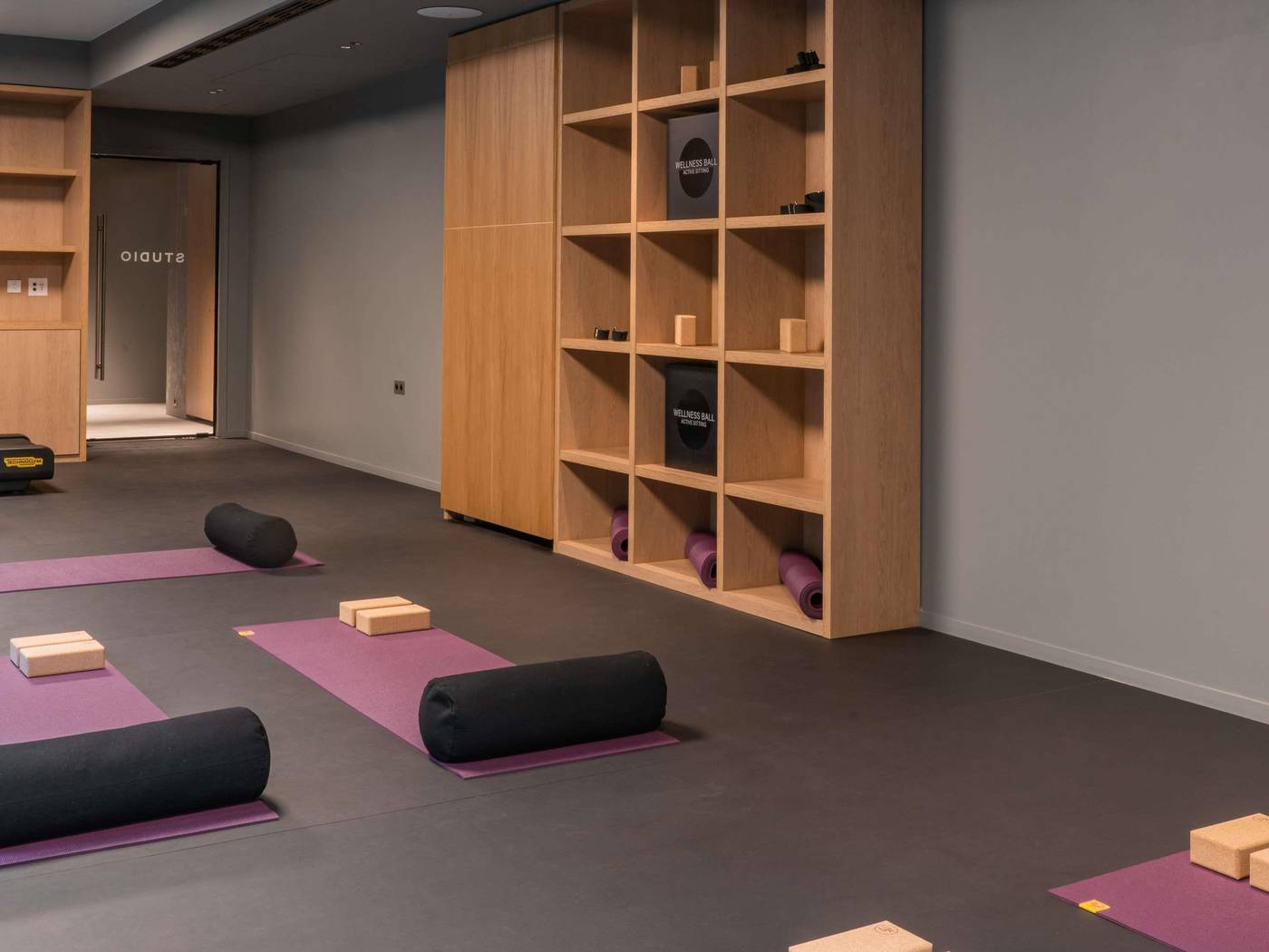 Domaine-Reine-Margot-Paris-Issy-MGallery-Collection-Sports-and-Entertainment-82