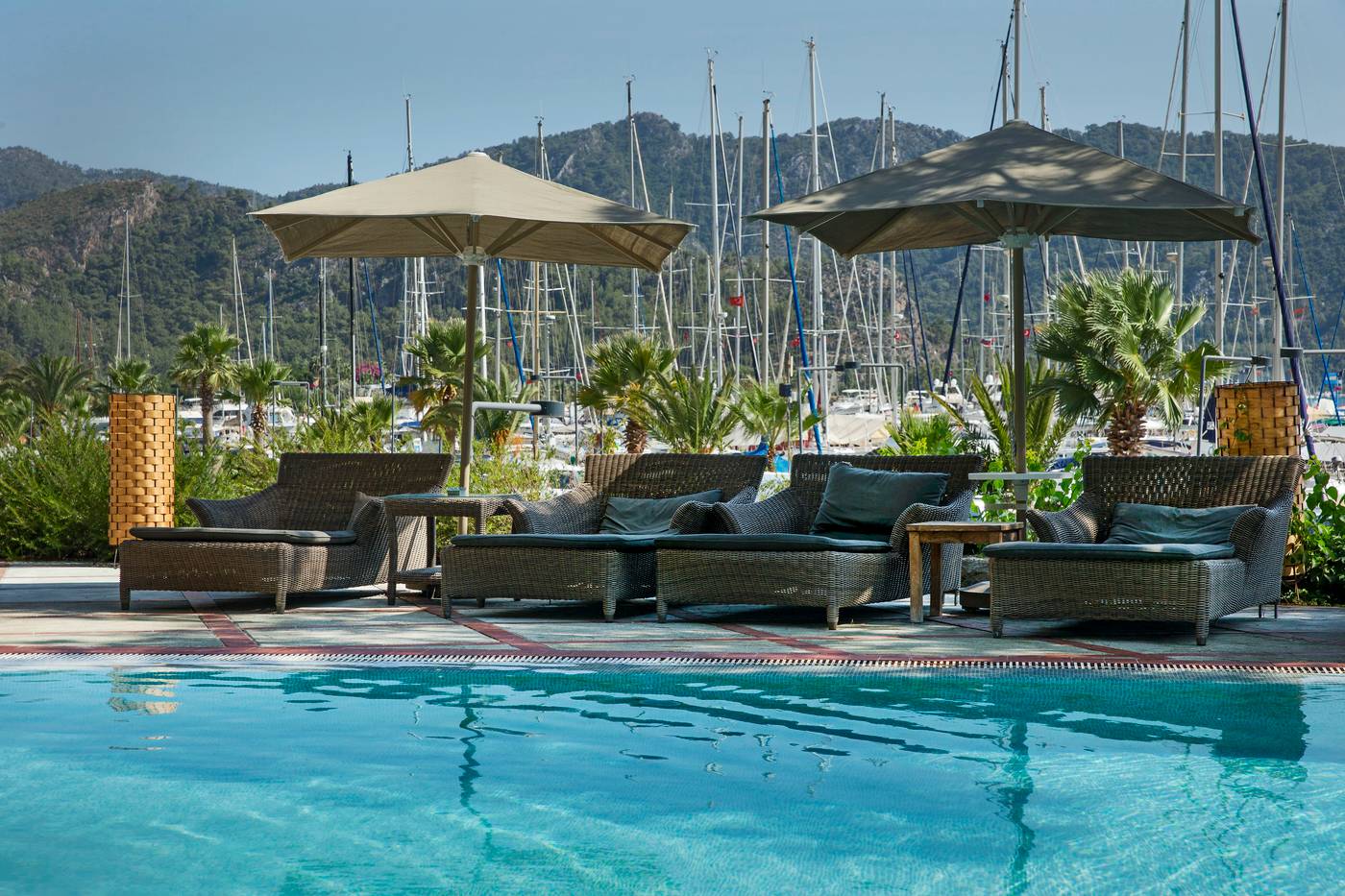 Marti-Hemithea-Pool-6