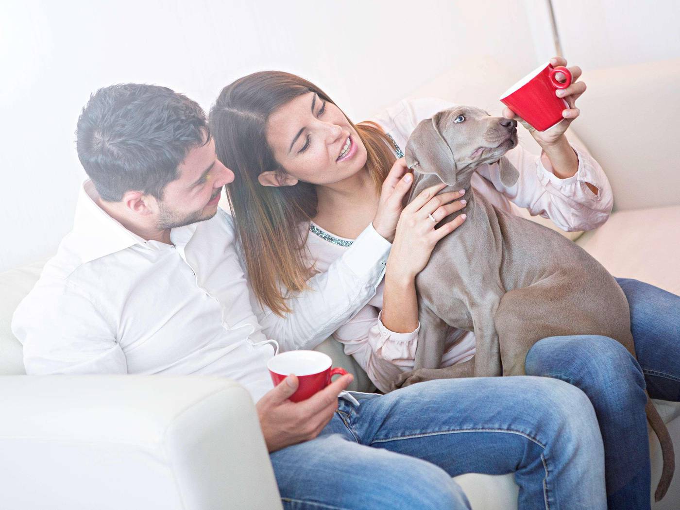 Novotel-Roma-Eur-General-view-37