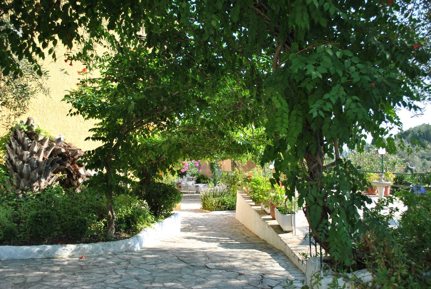 Helios-Splendid-General-view-1