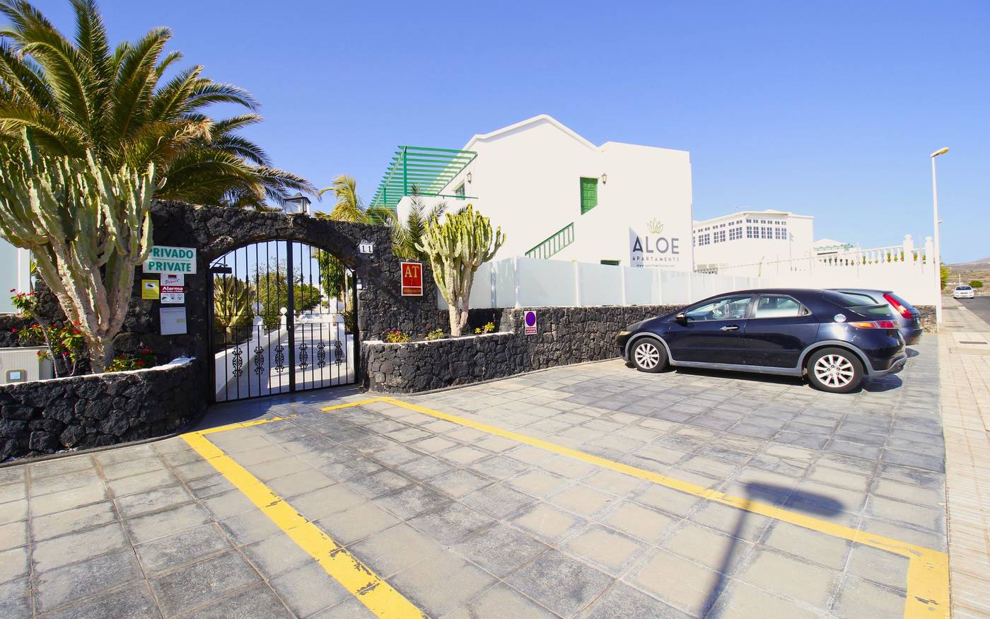 Aloe-General-view-18