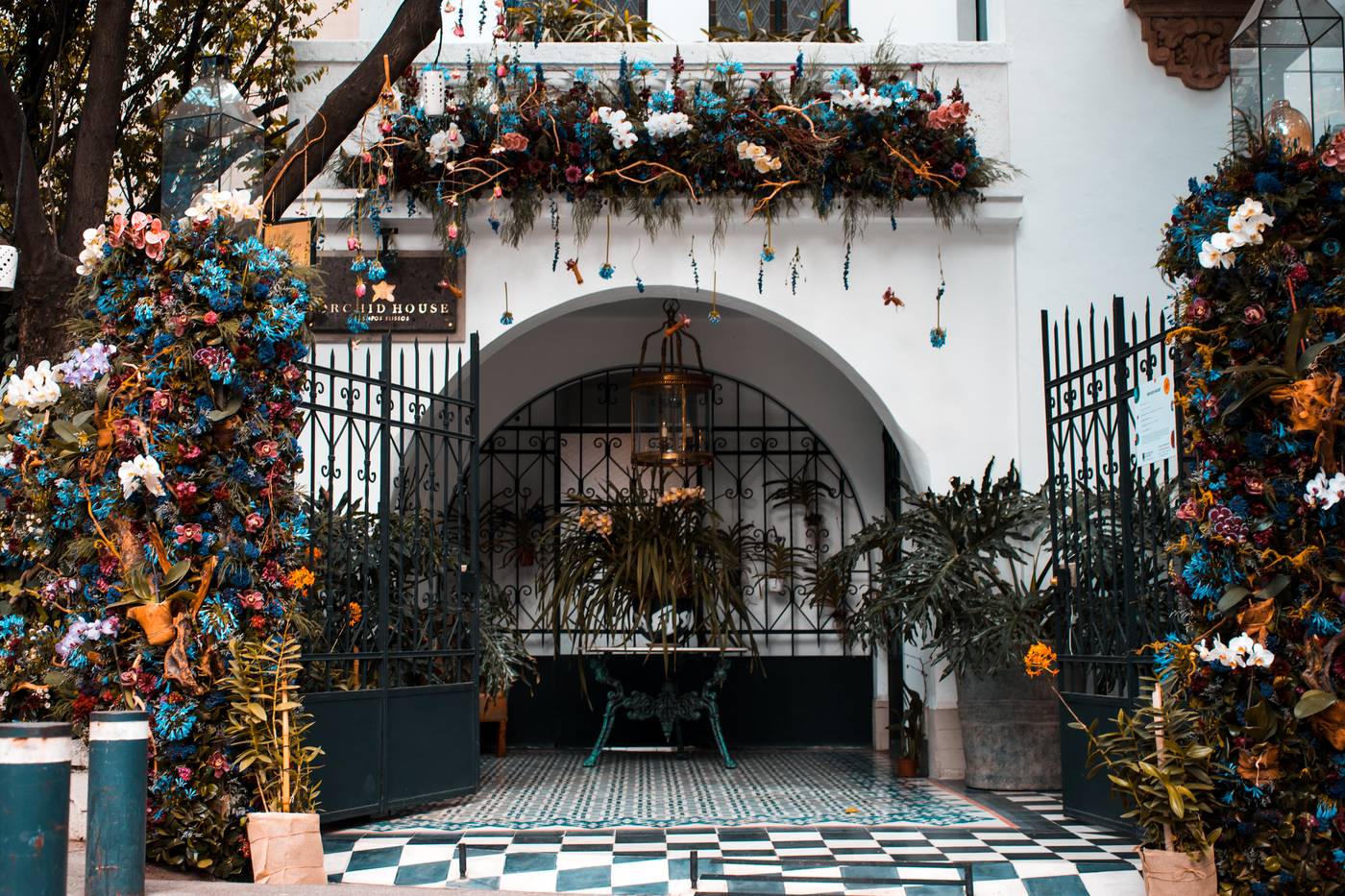 Orchid House Polanco-Mexico-Ciudad de México-General view-3