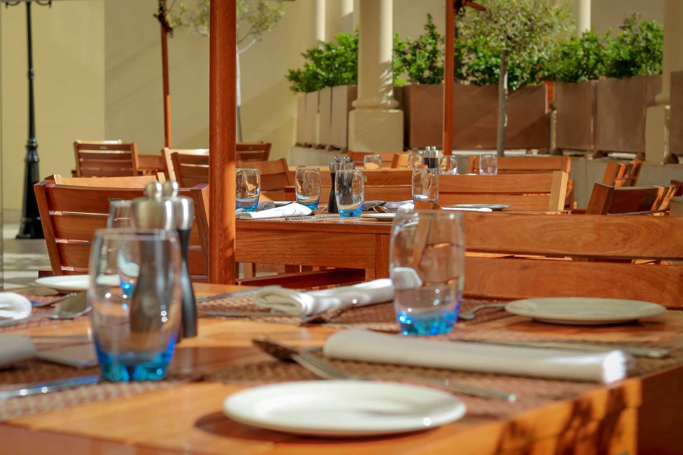 Radisson-Blu-Le-Vendome-Restaurant-43