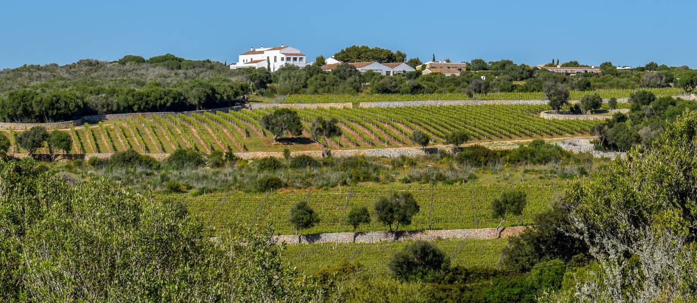 Torralbenc-General-view-40