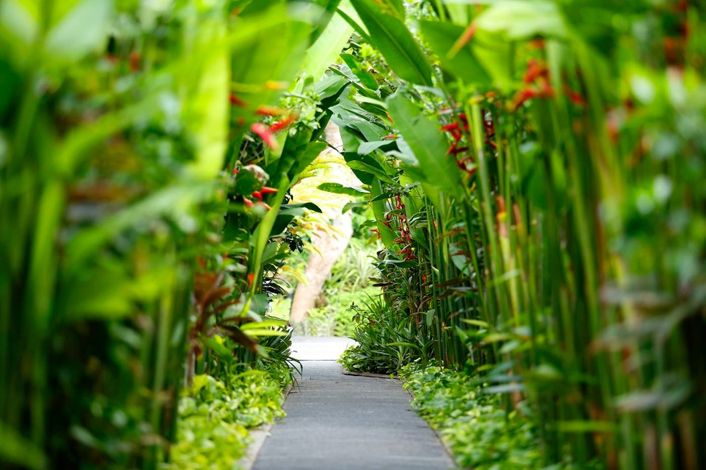 The Kasih Villas & Spa-Indonesia-BALI-General view-1