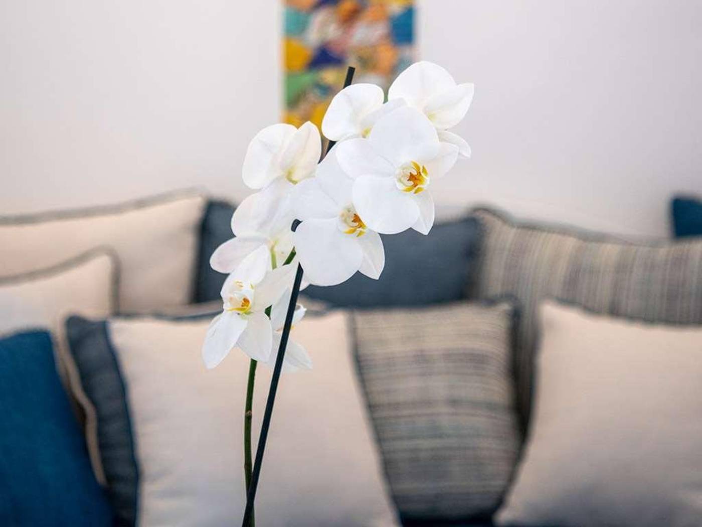 Positano-Art-Hotel-Pasitea-Room-19