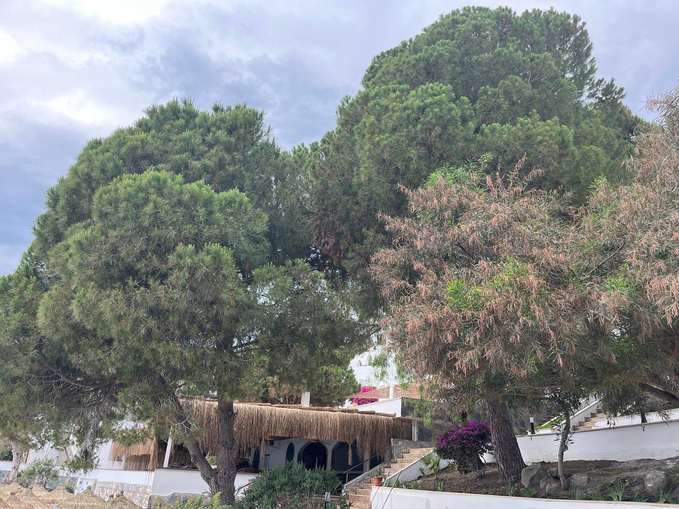 Holiday-Inn-Resort-Bodrum-General-view-17