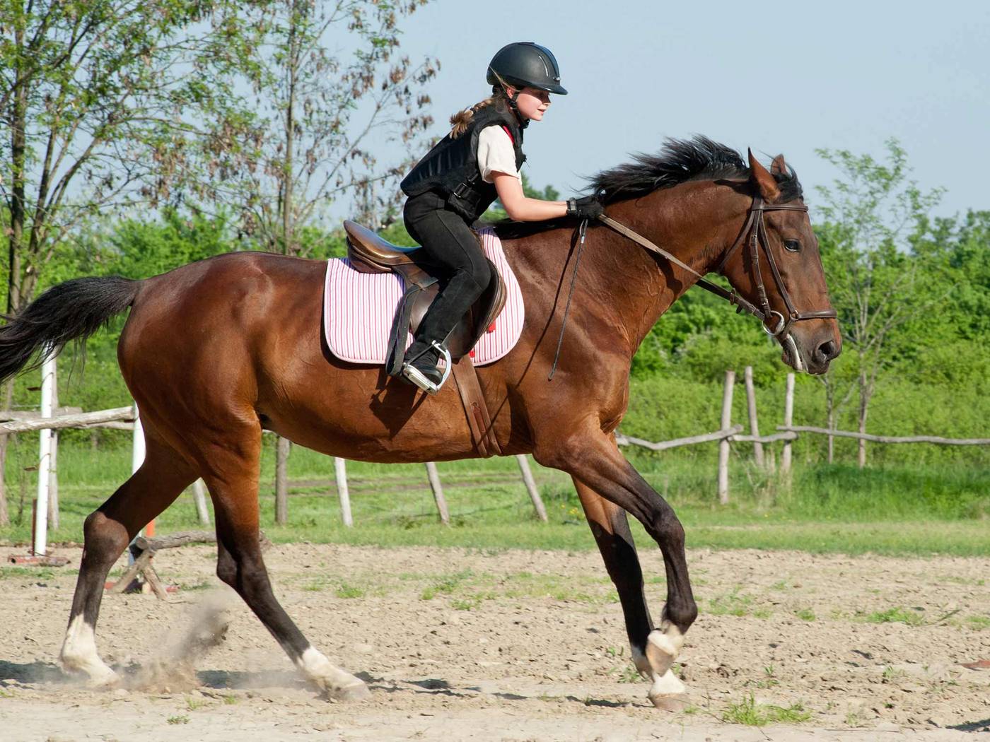 Fuerte-El-Rompido-Spa-Sports-and-Entertainment-46