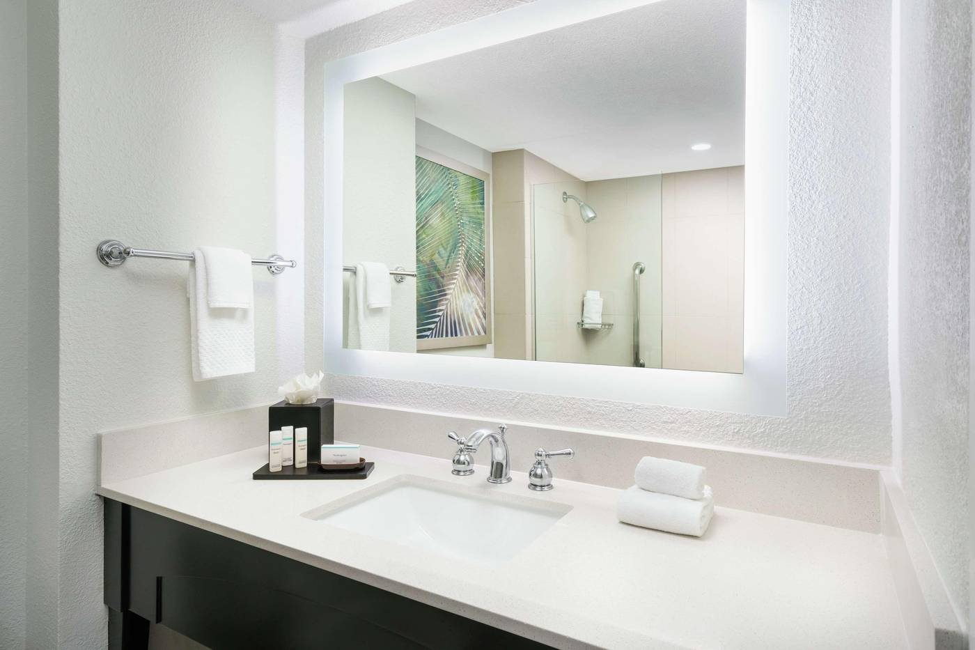Embassy Suites by Hilton Orlando LBV Resort-United States-ORLANDO-Room-9