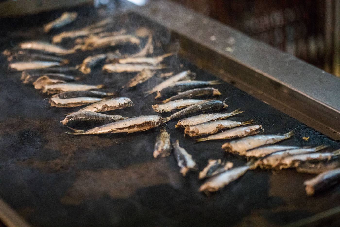 Coral-Blue-Beach-Restaurant-44