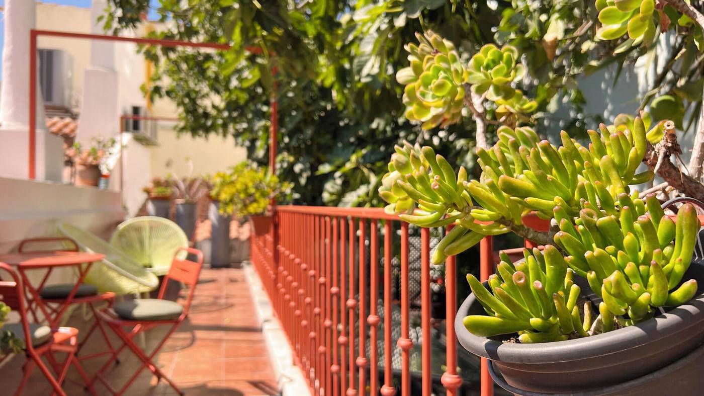 Casa-Do-Bairro-Bed---Breakfast-General-view-56