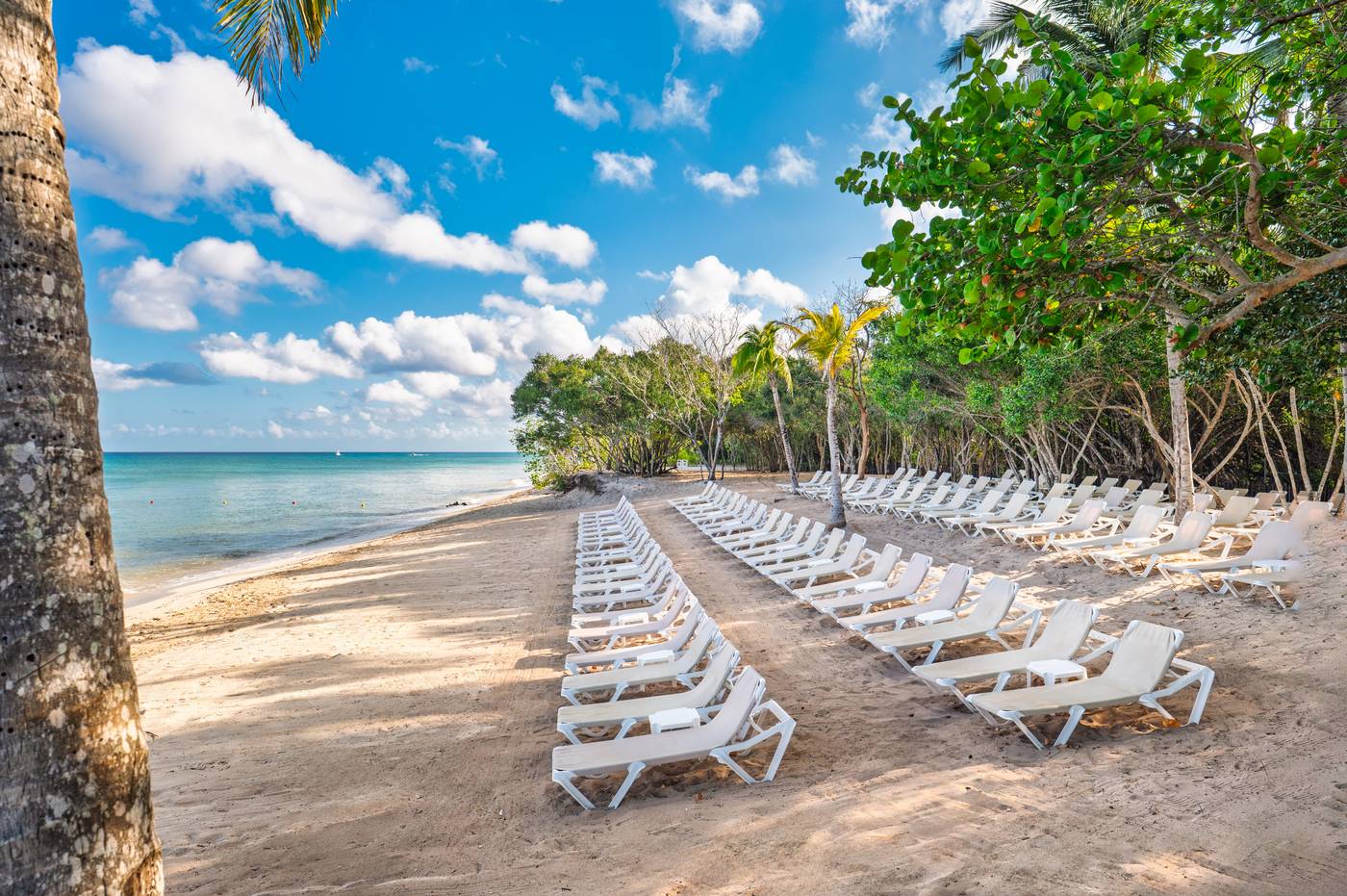 Occidental-Cozumel-Beach-69