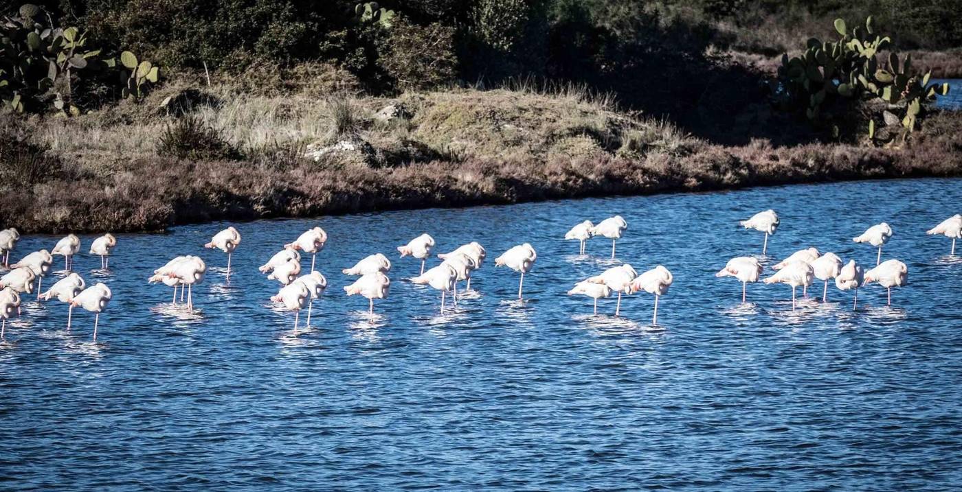 Gabbiano-Azzurro-Sports-and-Entertainment-80