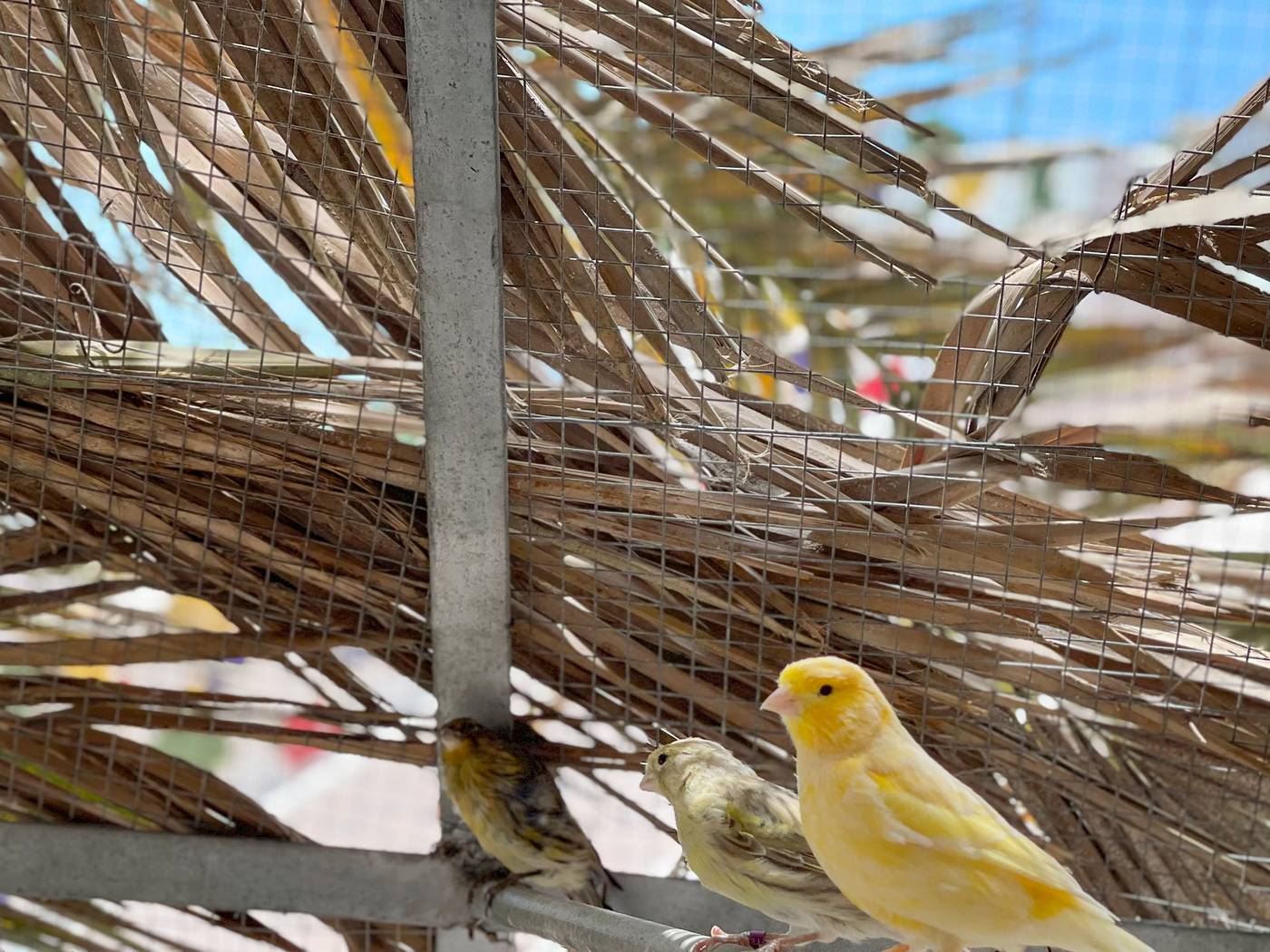 Parque-Raquel-General-view-38