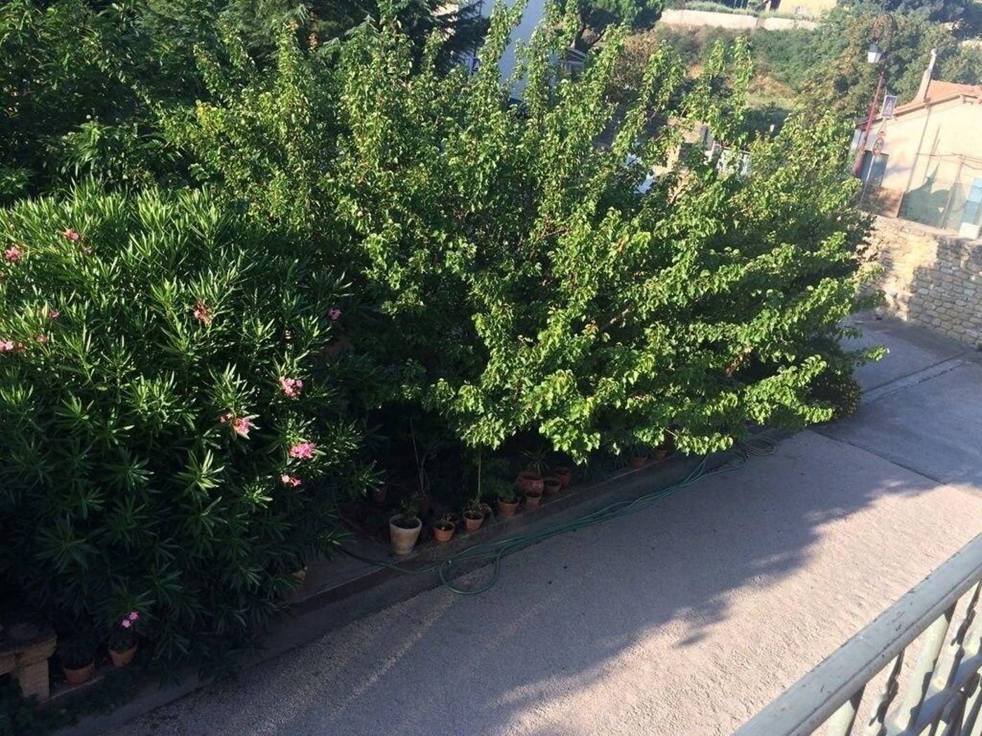 Salvaterra-France-SAUVETERRE-General view-6