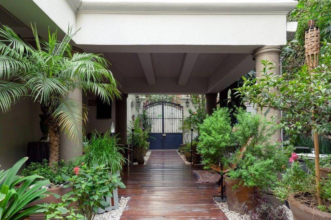 Villa Condesa-Mexico-MEXICO CITY-General view-9