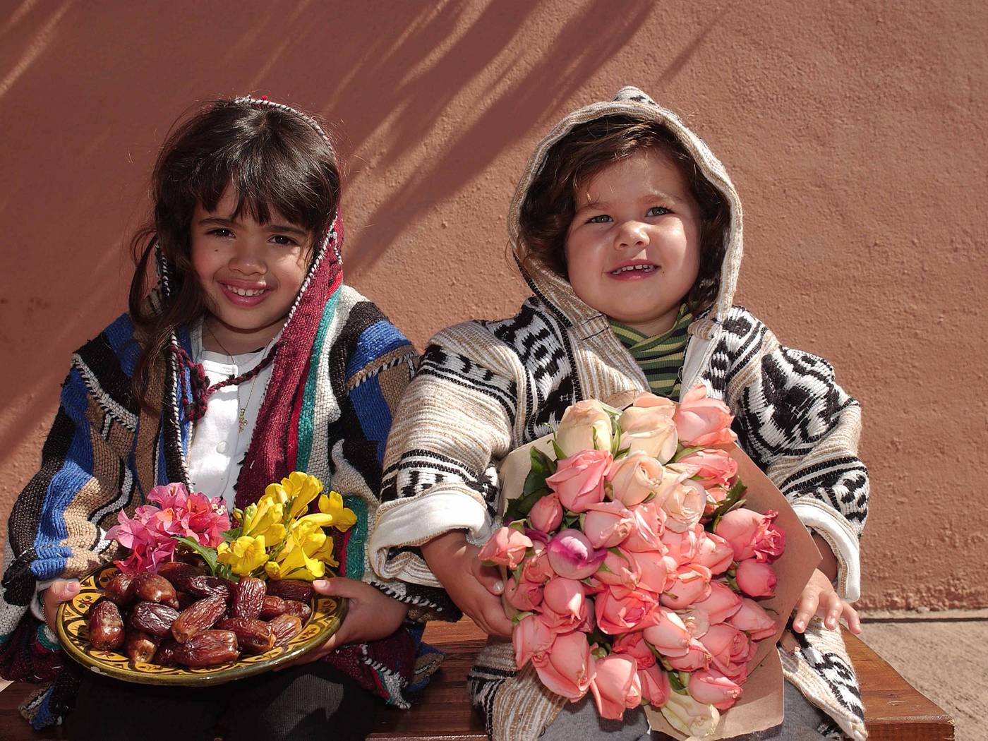 Barcelo-Palmeraie-General-view-74