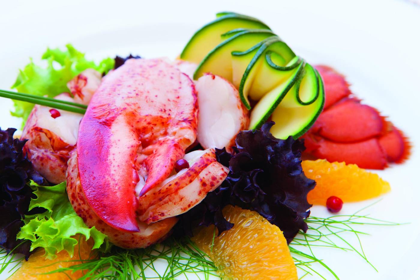 Corallo-Restaurant-64