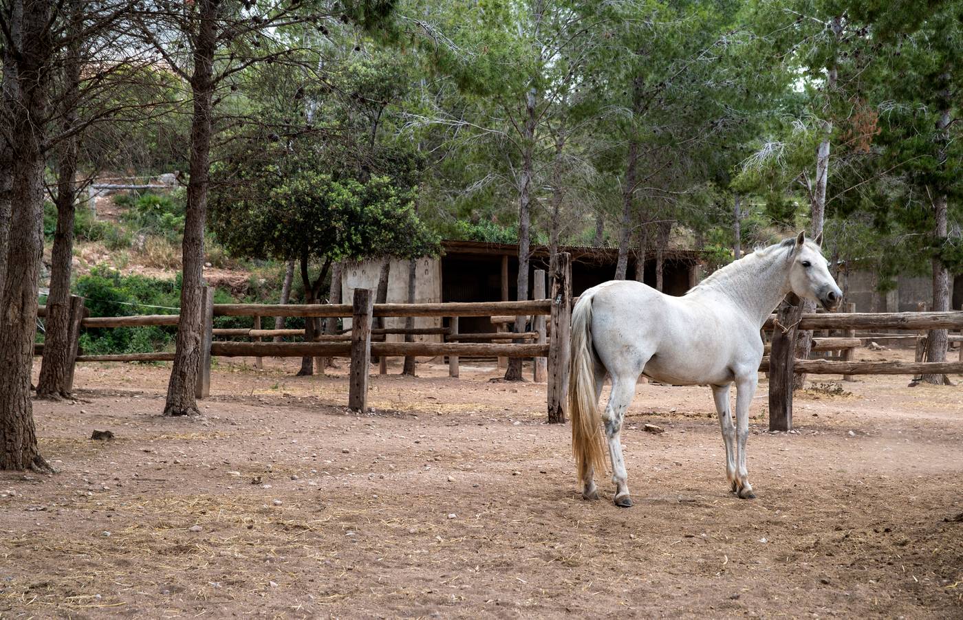 Pierre---Vacances-Bonavista-de-Bonmont-Sports-and-Entertainment-72