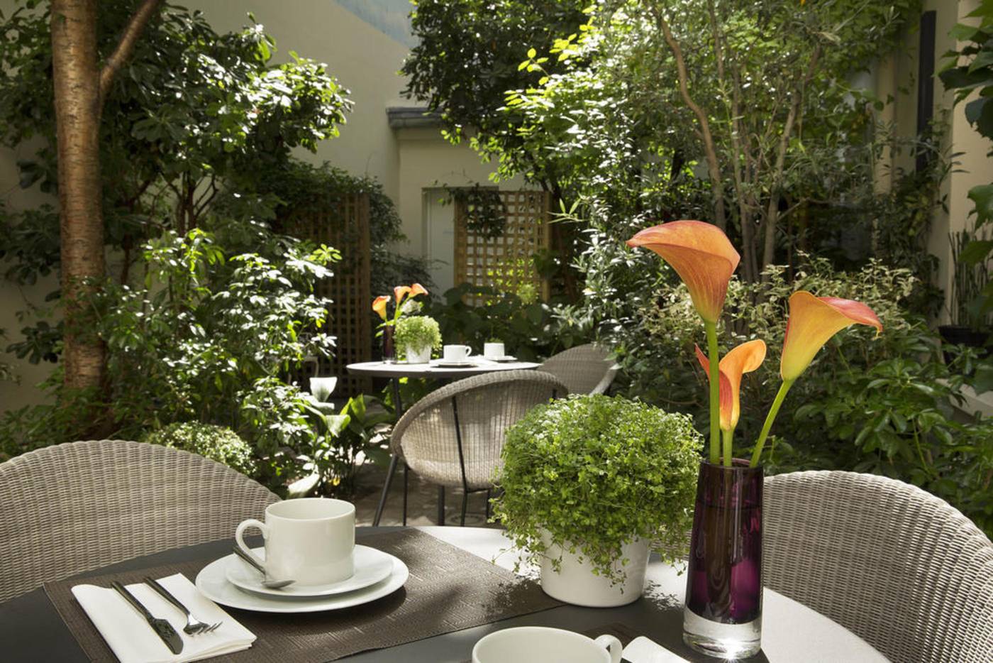 Hotel-A-la-Villa-des-Artistes-Terrace-28