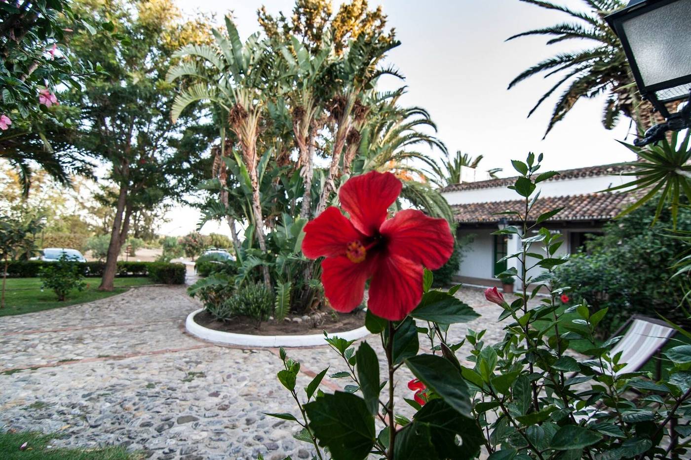 Cortijo-Las-Pi----as-Terrace-7