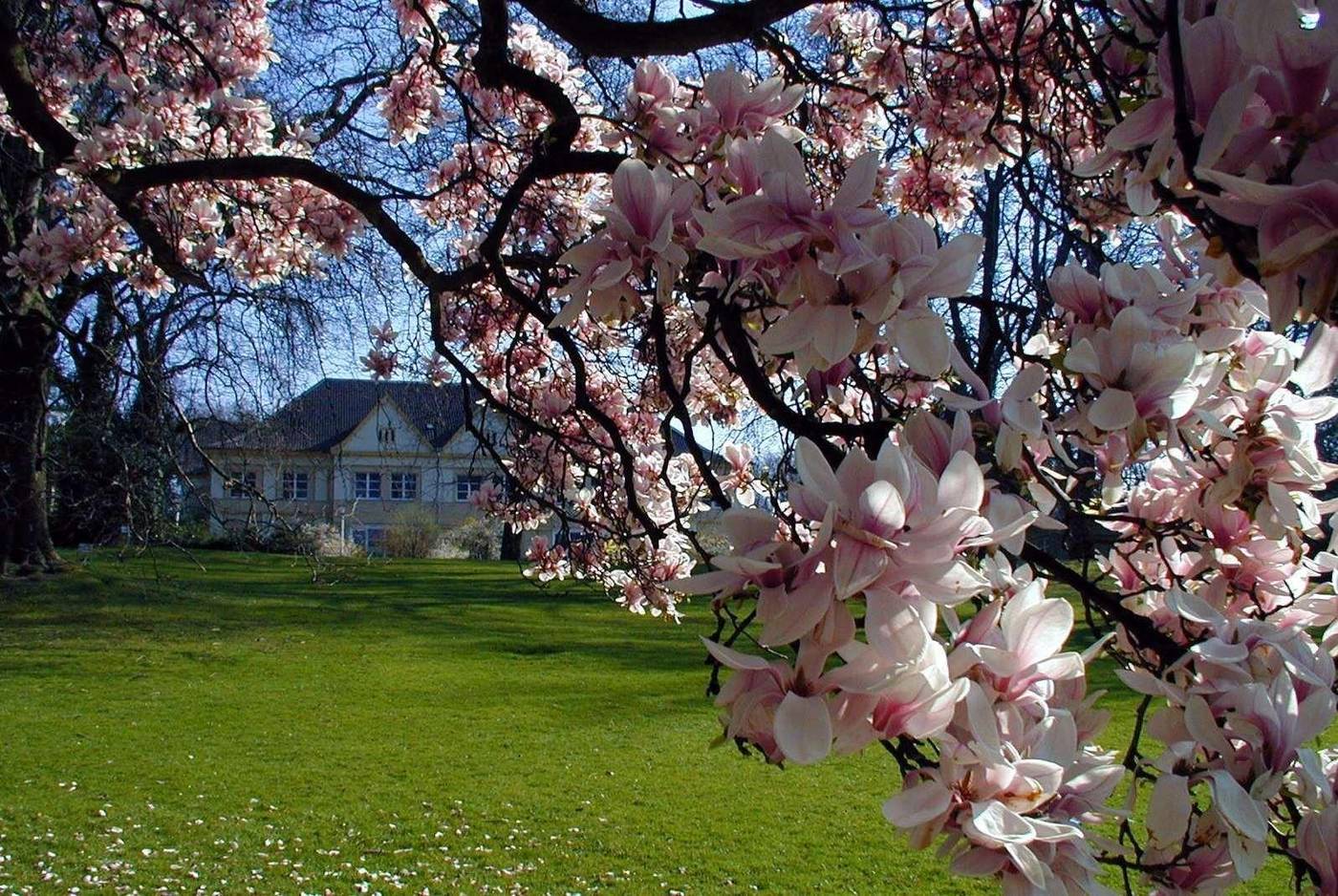 H+ Hotel Bochum-Germany-BOCHUM-General view-8