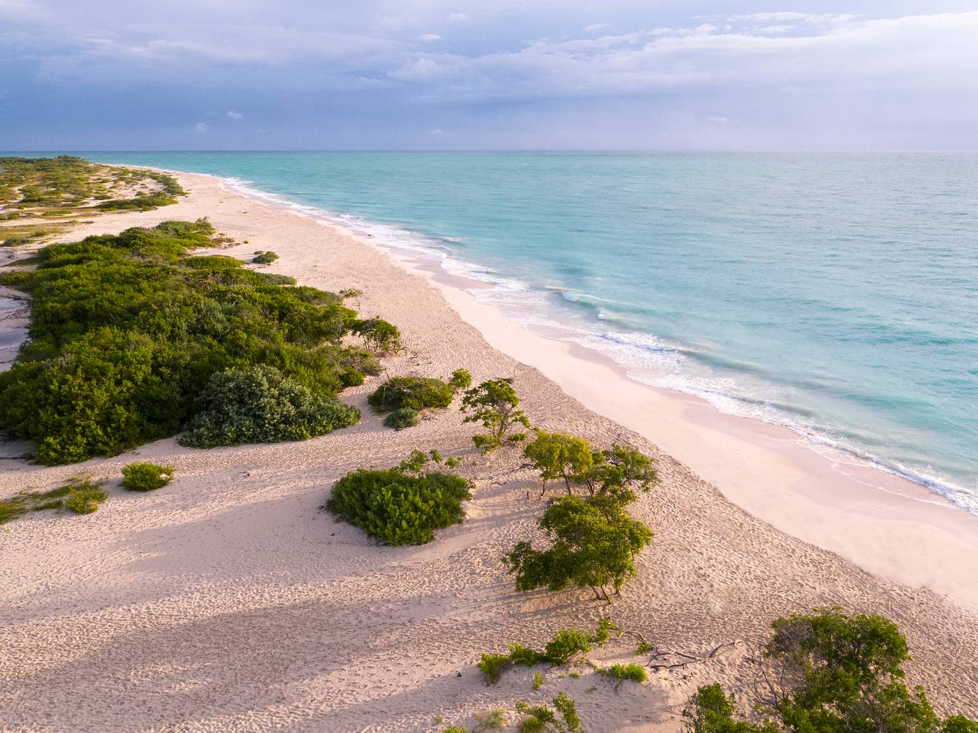 Grand-Palladium-Costa-Mujeres-Resort---Spa-Beach-77