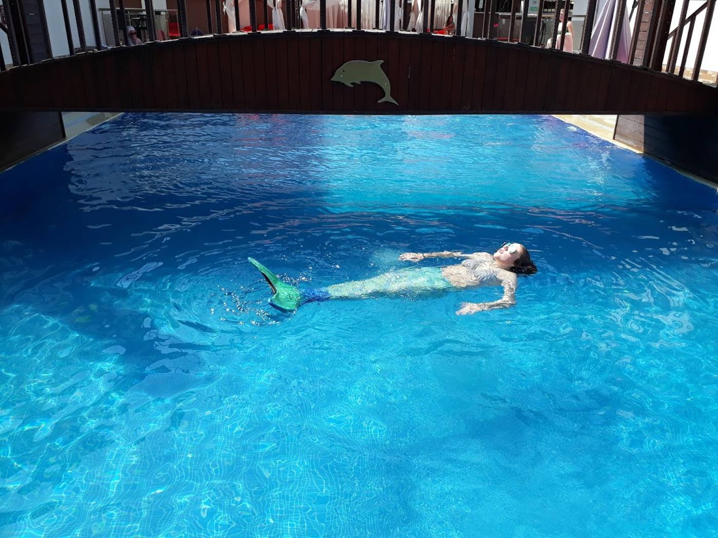 Dolphin-Apart-Pool-46