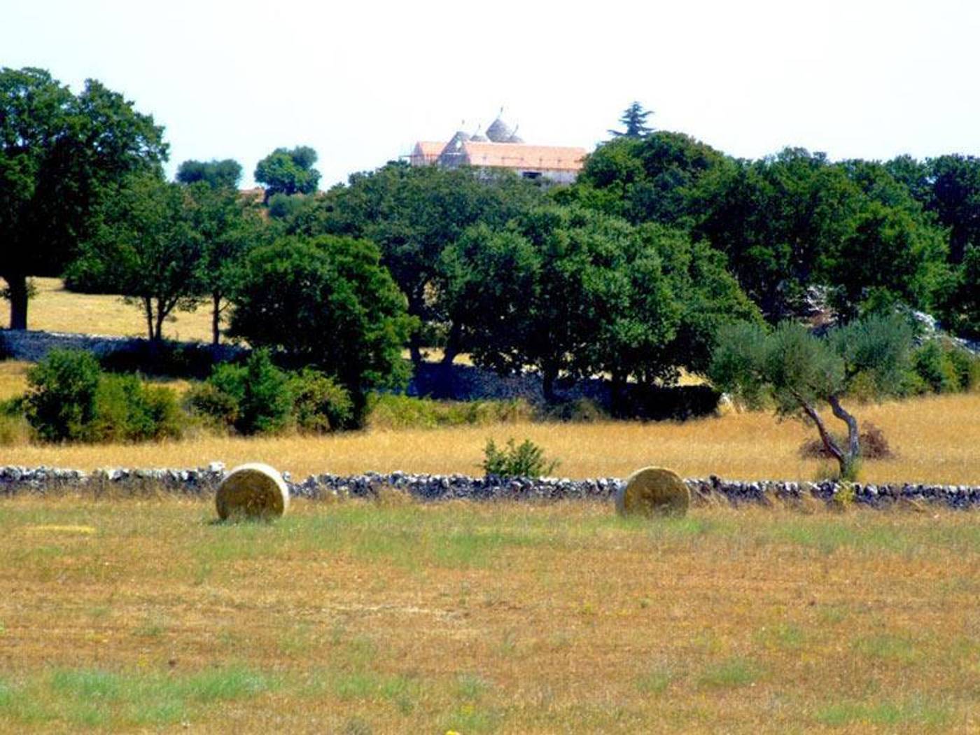 Victor Country Hotel-Italy-ALBEROBELLO-General view-4