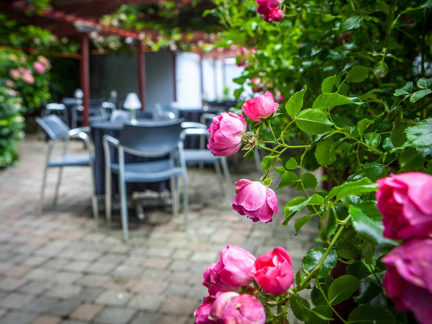 Ballyroe Heights Hotel-Ireland-Co Kerry-General view-4