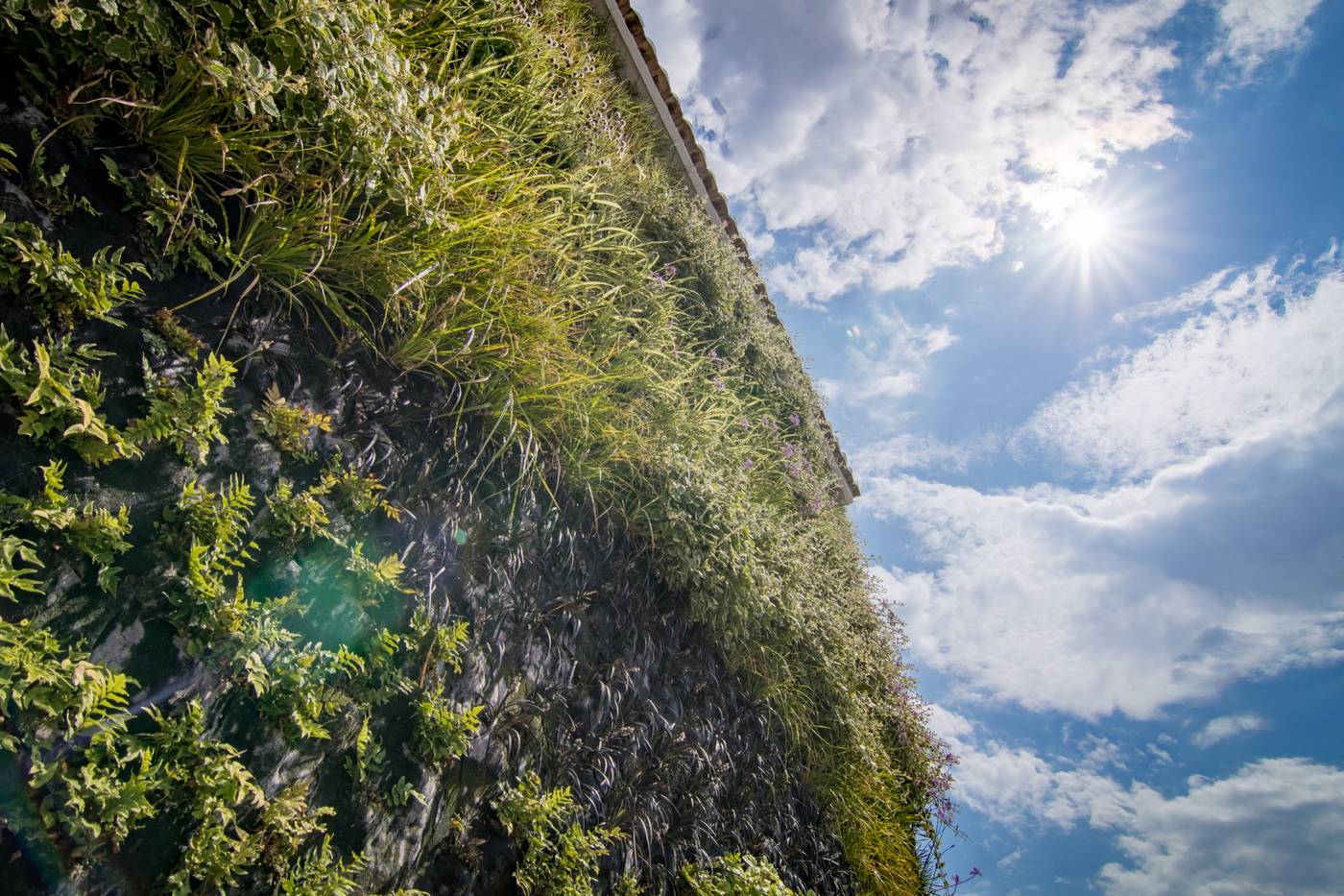 Cap-Negret-General-view-9