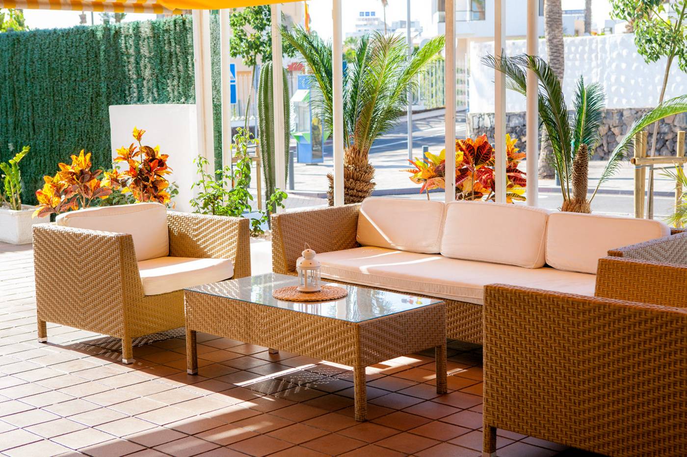 Paraiso-del-Sol-Terrace-13