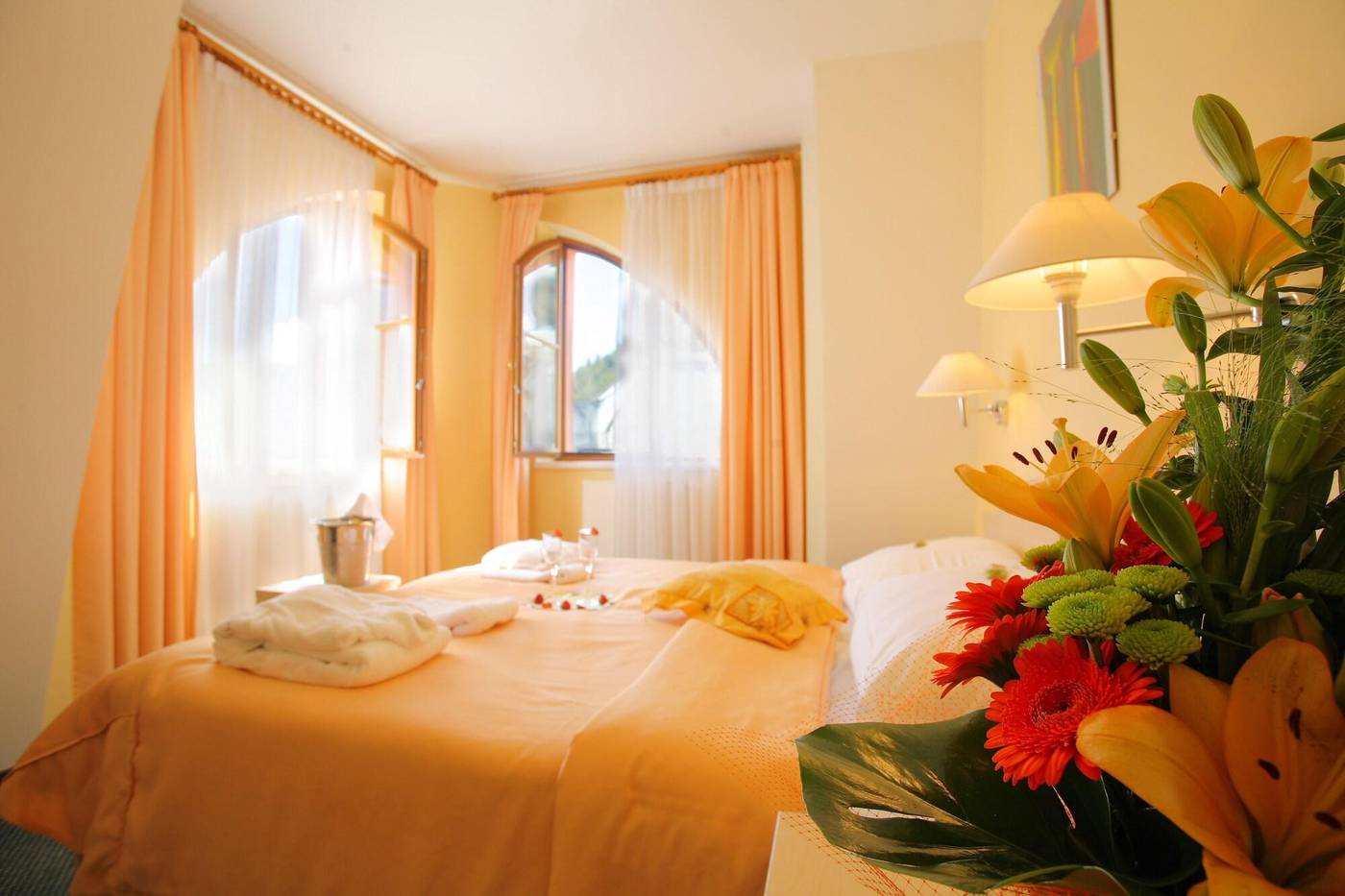 Hotel Ambiente Wellness & Spa Karlovy Vary-Czech Republic-KARLOVY VARY-Room-7