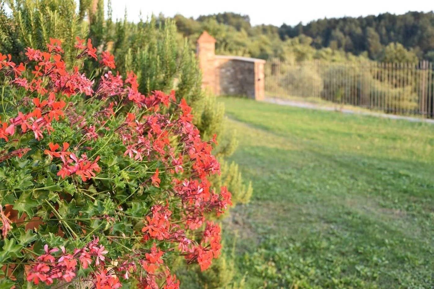 Bed And Breakfast Country Hill-Italy-AREZZO-General view-3